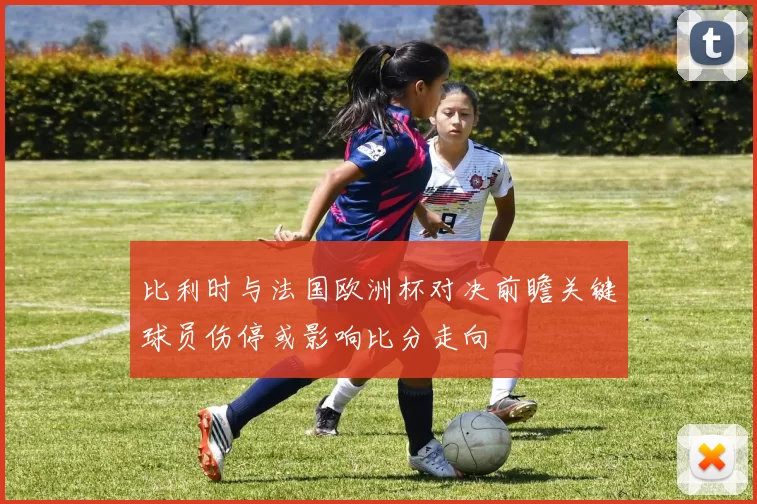 比利时与法国欧洲杯对决前瞻关键球员伤停或影响比分走向